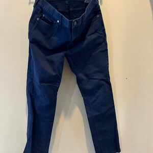 Banana Republic Traveler Pants